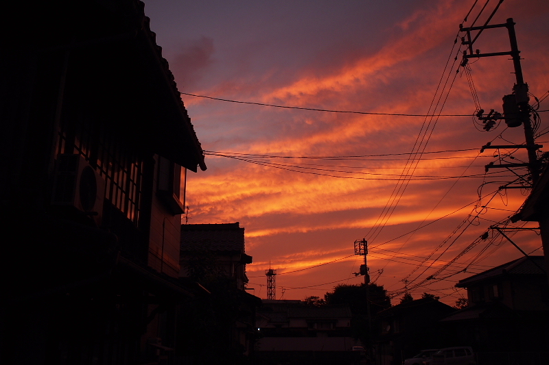 【地域猫の聖地】米子 ”夜の街” 朝日町・西倉吉町界隈 Photo ①_b0008655_23432508.jpg