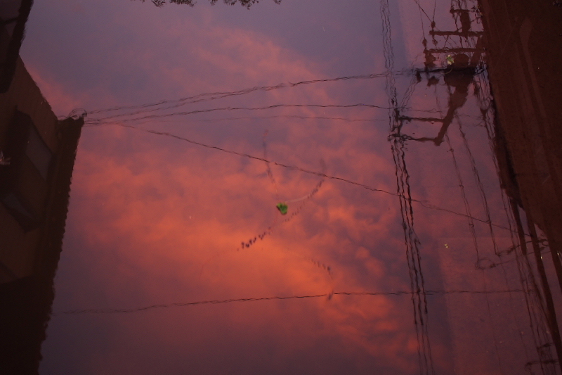 【地域猫の聖地】米子 ”夜の街” 朝日町・西倉吉町界隈 Photo ①_b0008655_23434669.jpg
