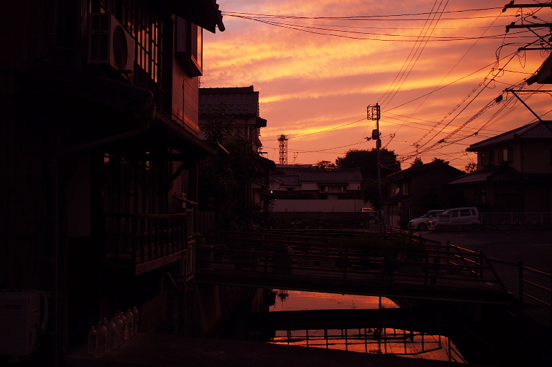 【地域猫の聖地】米子 ”夜の街” 朝日町・西倉吉町界隈 Photo ①_b0008655_23435661.jpg
