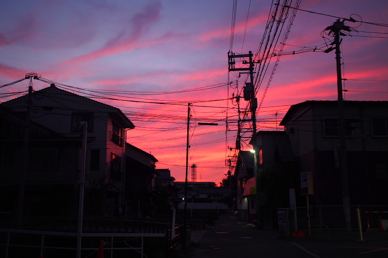 【地域猫の聖地】米子 ”夜の街” 朝日町・西倉吉町界隈 Photo ①_b0008655_23494687.jpg