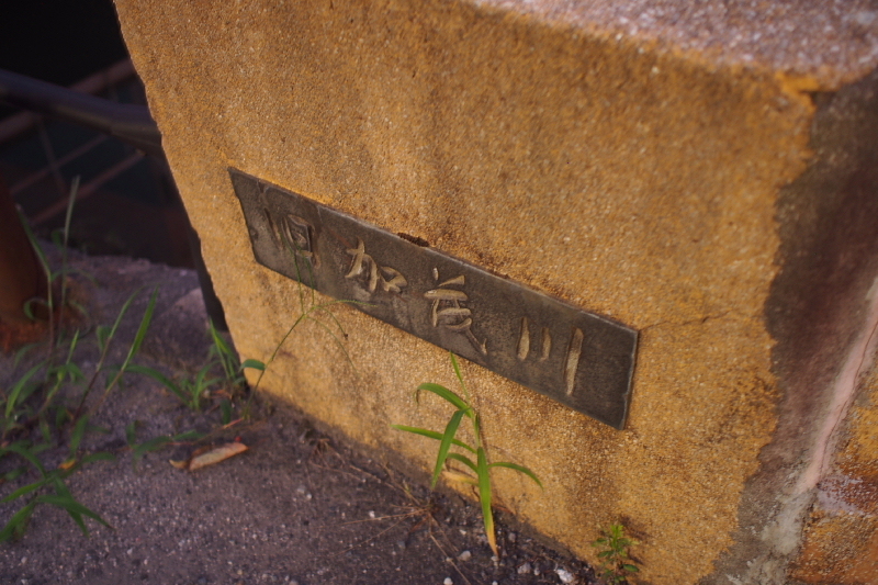 【地域猫の聖地】米子 ”夜の街” 朝日町・西倉吉町界隈 Photo ①_b0008655_23500695.jpg