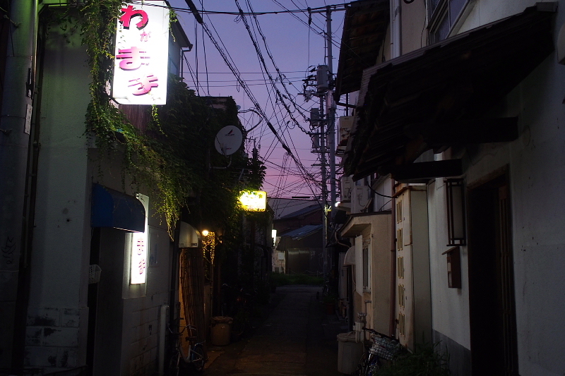 【地域猫の聖地】米子 ”夜の街” 朝日町・西倉吉町界隈 Photo ①_b0008655_23504008.jpg