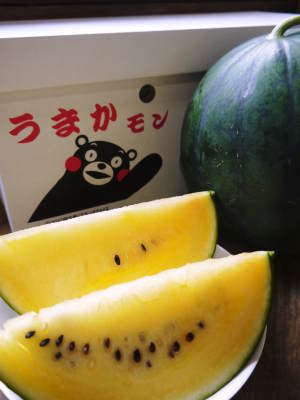 黒小玉スイカ「ひとりじめbonbon」黄色果肉は7月2日出荷分まで!赤果肉、メロンとのコンビも大人気!_a0254656_17382652.jpg