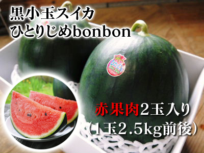 黒小玉スイカ「ひとりじめbonbon」令和4年の黄色果肉は6月24日が最終発送!赤果肉、メロンとのコンビも大人気! _a0254656_18511071.jpg