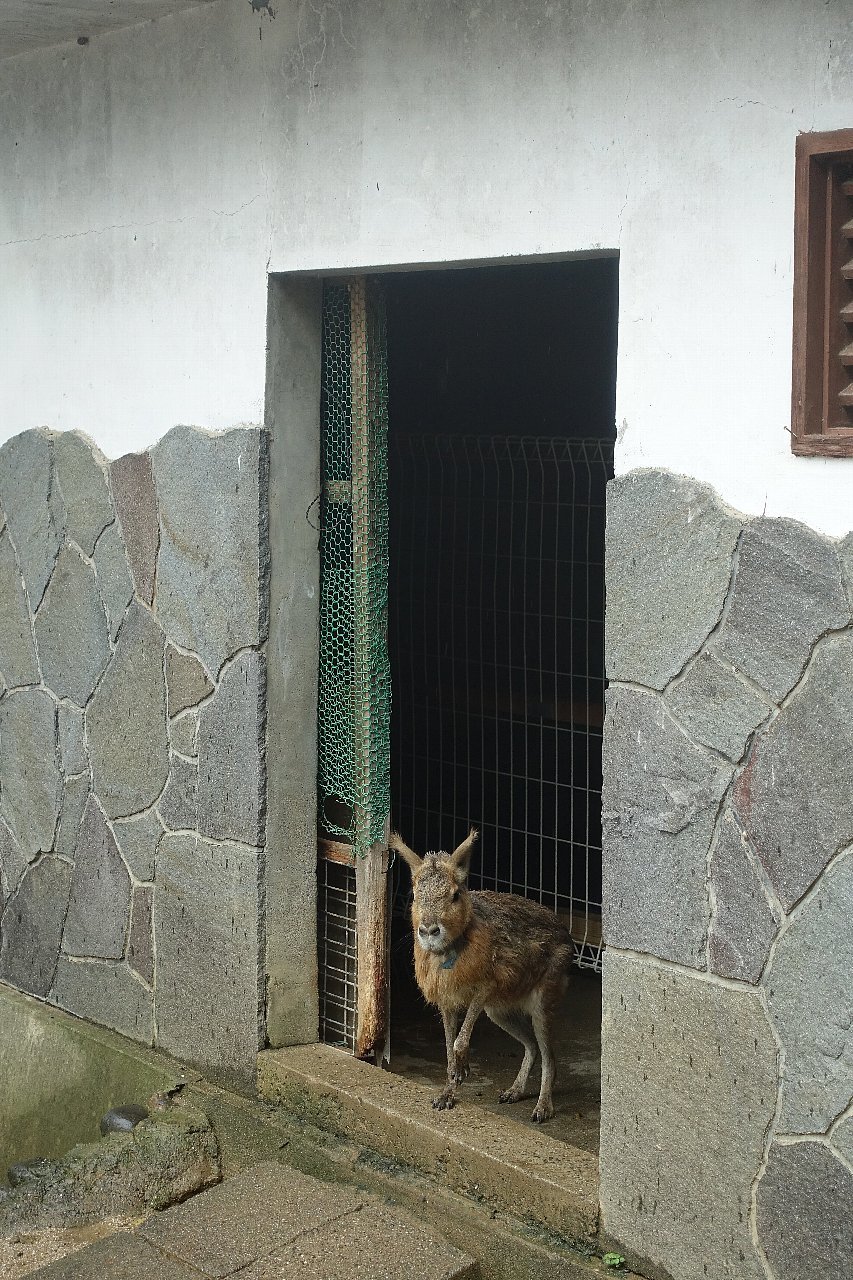 和歌山公園動物園_c0112559_08034907.jpg