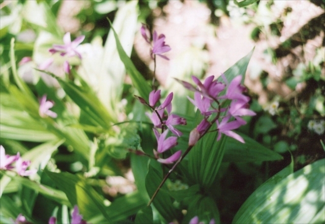 c0082066_23434708.jpg