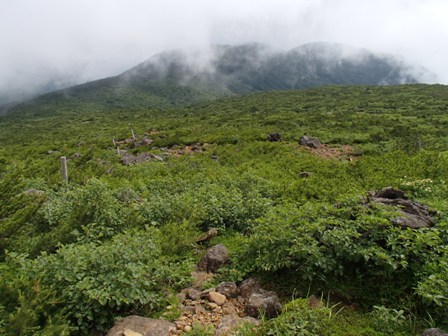 a0344771_16334467.jpg