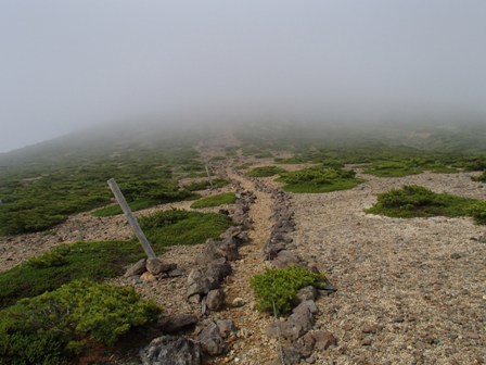 a0344771_16344775.jpg