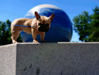 b0056476_12251102.gif
