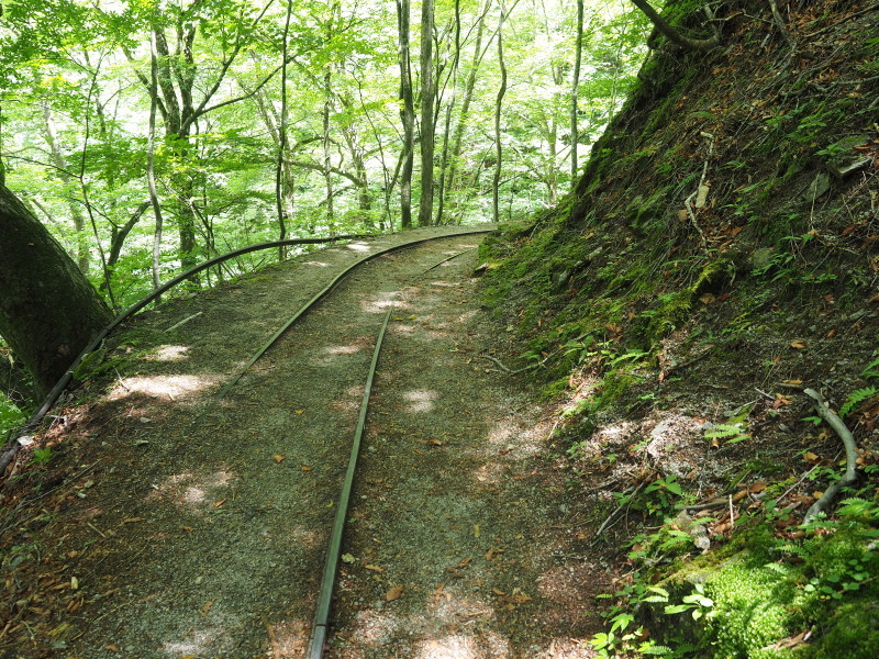 f0372177_21312459.jpg