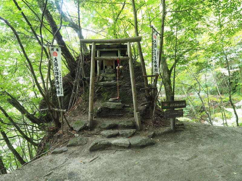 f0372177_21333109.jpg