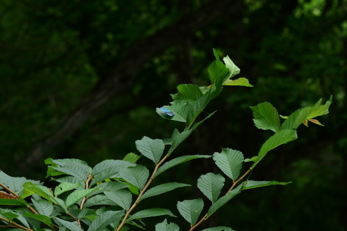 f0348480_17004278.jpg
