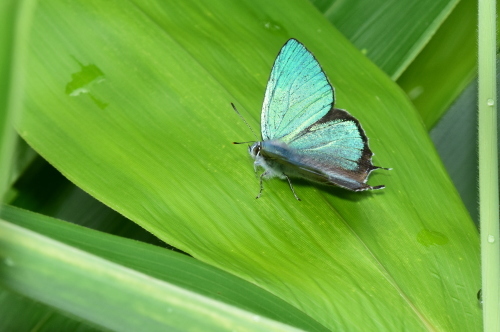 f0348480_17070998.jpg