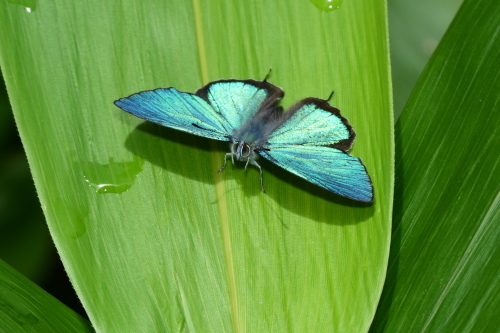 f0348480_17075145.jpg