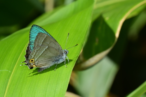 f0348480_17100350.jpg