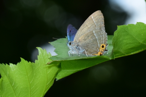 f0348480_17142390.jpg