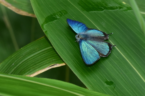 f0348480_17172621.jpg