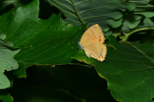 f0348480_17210150.jpg