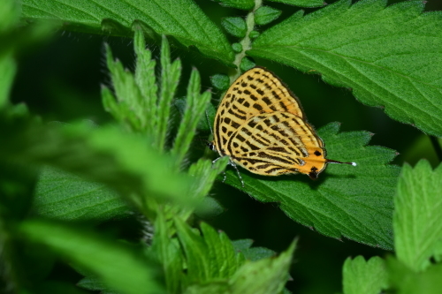 f0348480_17232075.jpg