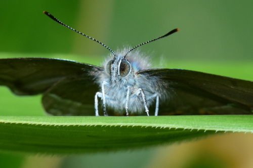 f0348480_17281539.jpg