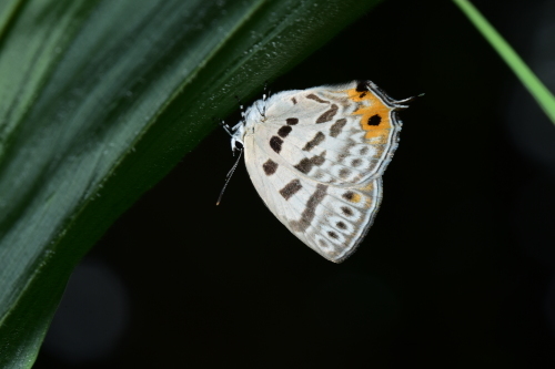 f0348480_17290041.jpg