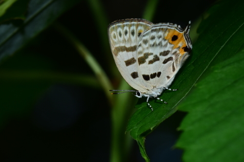 f0348480_17374340.jpg