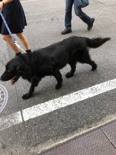 f0315081_22371551.jpeg