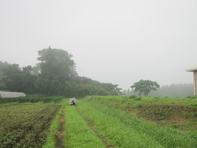c0335990_02483318.jpg