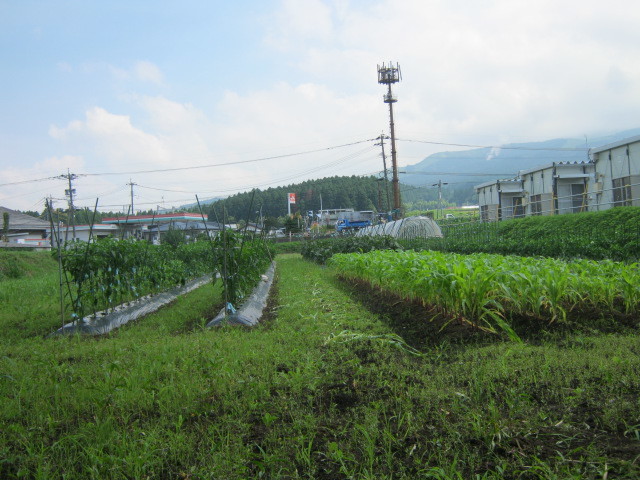 c0335990_02493052.jpg