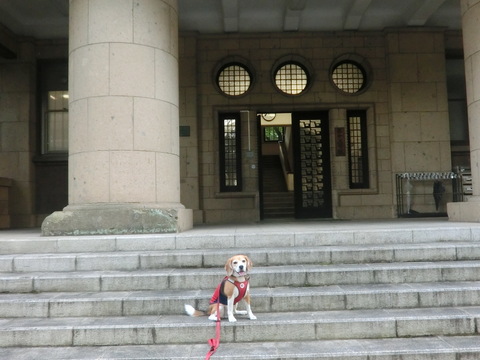 a0319693_559853.jpg
