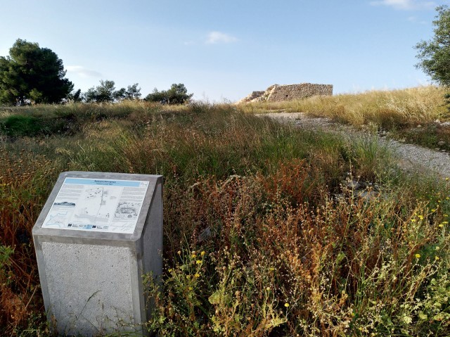 f0100593_19563501.jpg