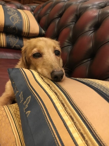 f0188600_07532115.jpeg