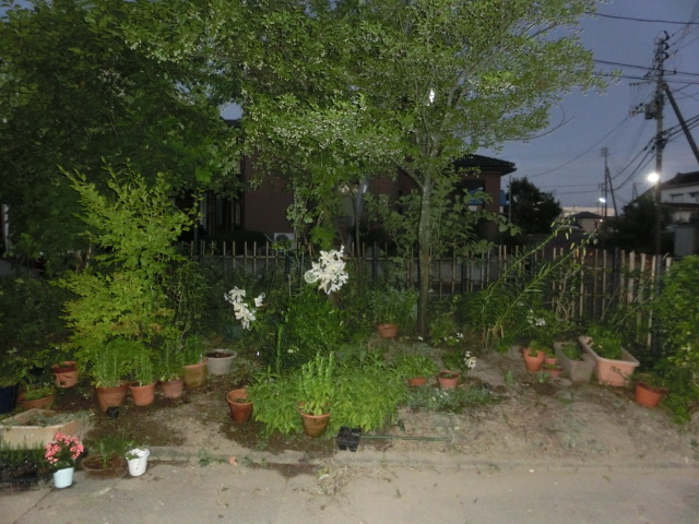 a0203003_19460126.jpg
