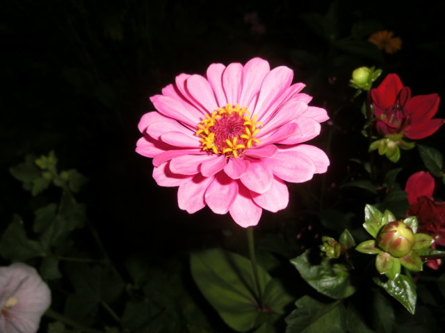 a0203003_19474360.jpg