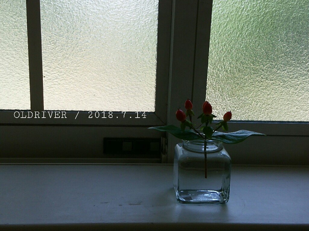 f0255704_10584851.jpg