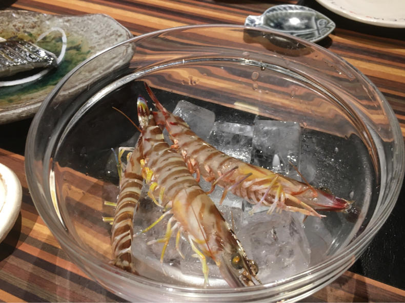 魚男 (フィッシュマン) : テリトリーは高松市です。