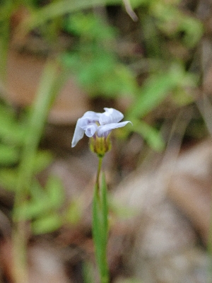 f0193521_20184699.jpg