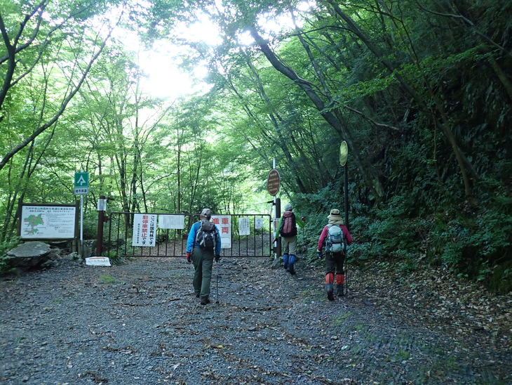 f0193521_445505.jpg