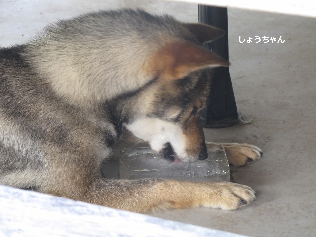 f0143123_13313062.jpg