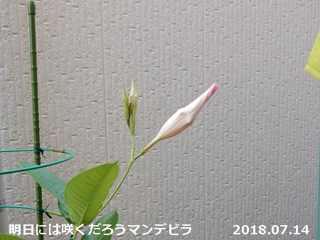 e0033229_17553842.jpg