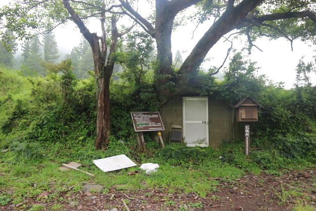 根子岳東峰（マツモトセンノウ）＆阿蘇野草園（マヤラン）＆萌の里（ササバラン）！_e0272335_56268.jpg