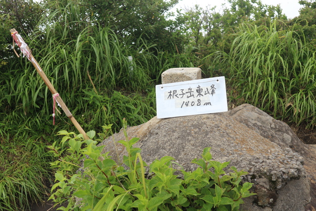 根子岳東峰（マツモトセンノウ）＆阿蘇野草園（マヤラン）＆萌の里（ササバラン）！_e0272335_9141683.jpg