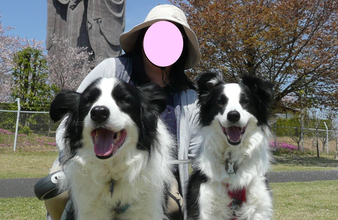 c0147241_21521330.jpg