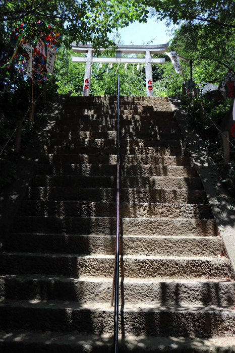 石段を登って駒込富士（駒込富士神社）に登頂！_c0060143_17032864.jpg