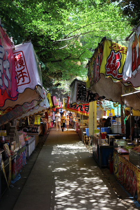 石段を登って駒込富士(駒込富士神社)に登頂!_c0060143_17035873.jpg