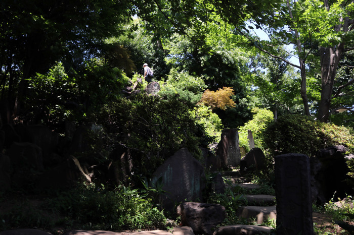 お寺の敷地内にある富士山、音羽富士（護国寺）に登頂_c0060143_17224332.jpg