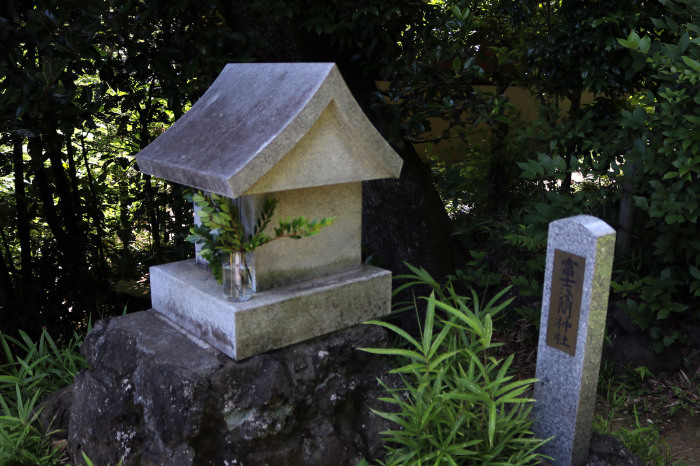 お寺の敷地内にある富士山、音羽富士（護国寺）に登頂_c0060143_17225408.jpg