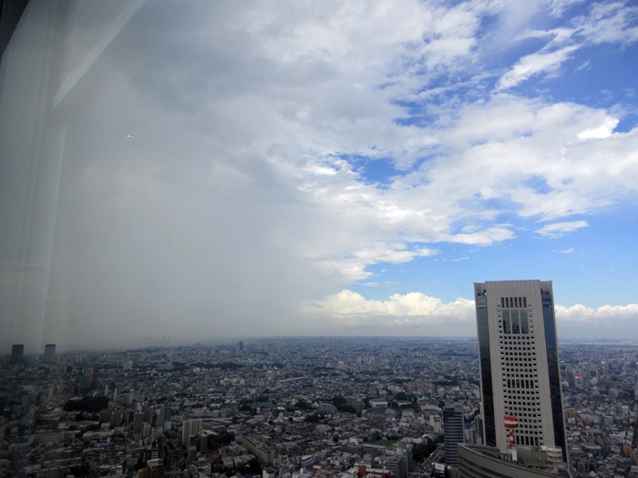 【雨上がりの西新宿をパークハイアットからヒルトンへ徒歩移動】_b0009849_1513460.jpg