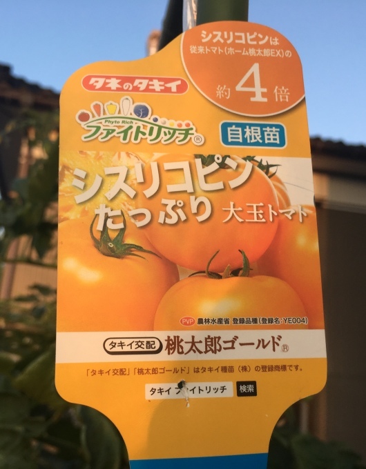 e0082956_05502363.jpeg
