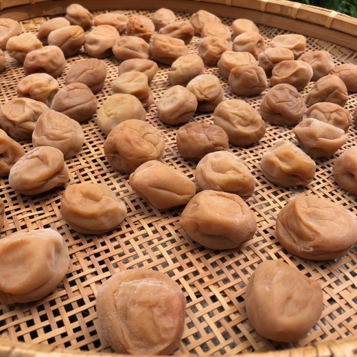 梅干し_c0133561_00350807.jpg